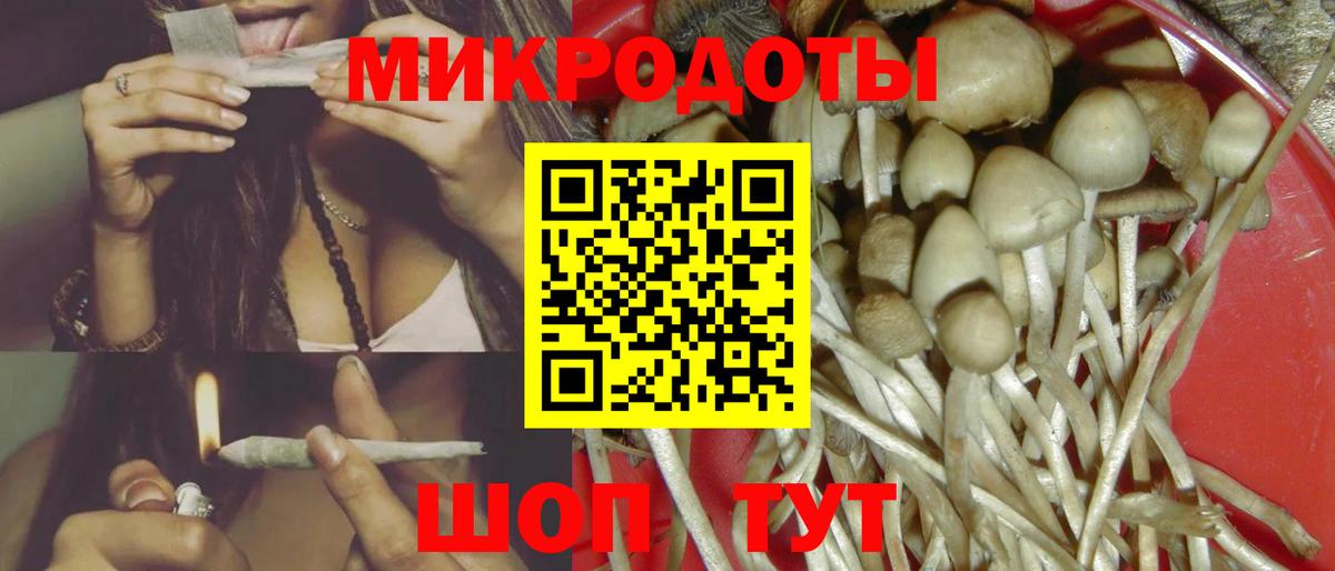Псилоцибиновые грибы Psilocybe  Вход с VPN  Псилоцибиновые грибы мицелий  Стрежевой 